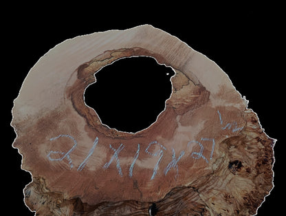 Maple Burl Base | Mount | Small Table Base | b25-3000