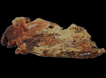 Maple Burl | Live Edge Slab | River Table | DIY | MA25-2766