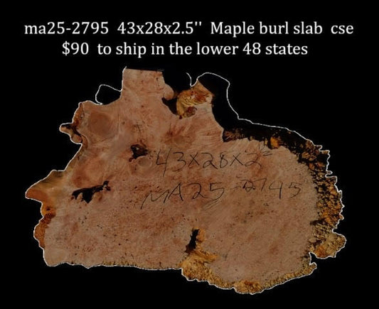 Maple Burl | Craft woods | River Table | DIY | MA25-2795