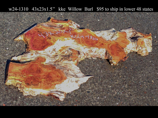 Willow Burl Slab | Burl | Table Slab | Epoxy Idea | W24-1310