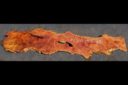 Willow Burl Slab | Burl | Table Slab | Epoxy Idea | W24-1348