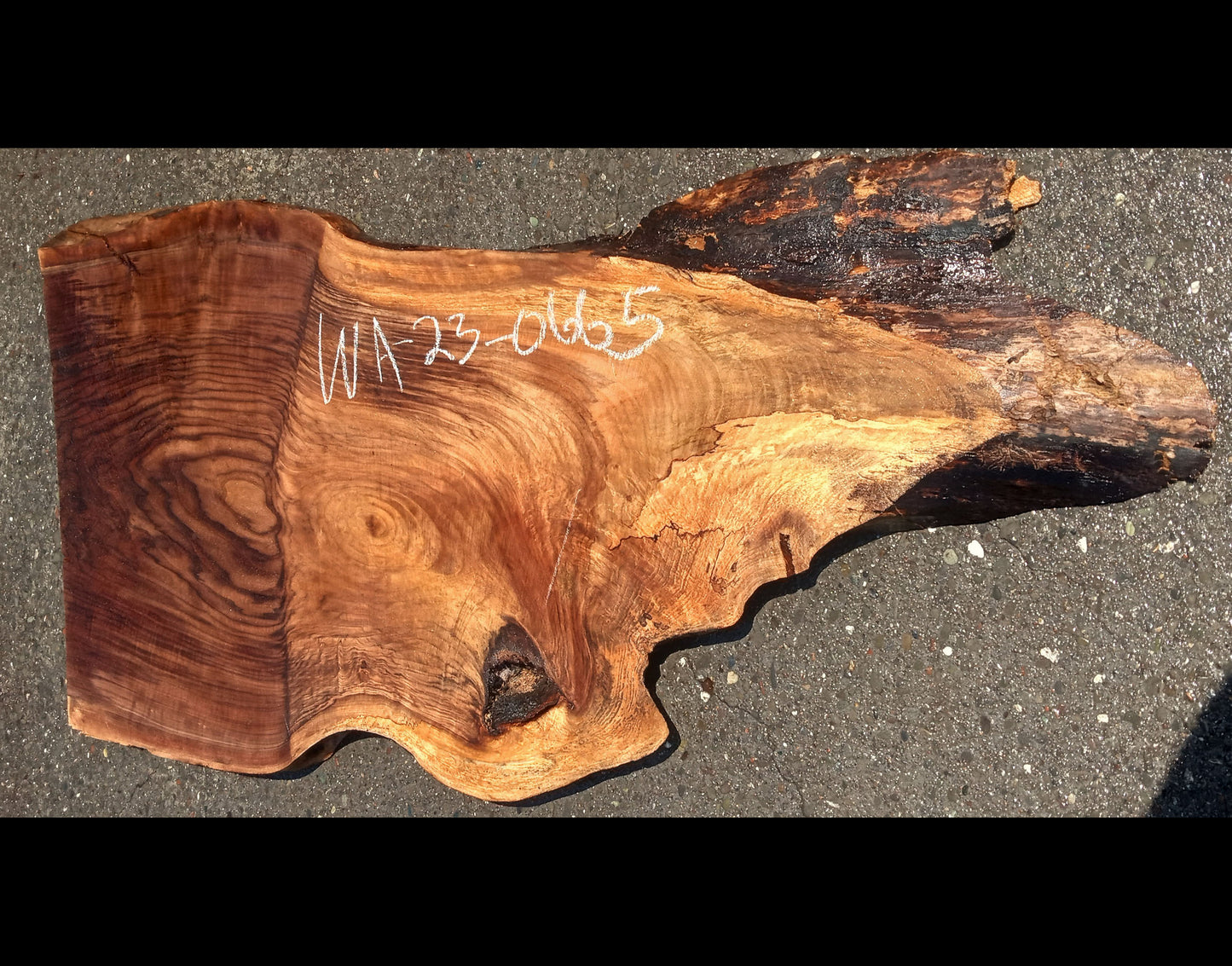Walnut grafted slab | live edge | DIY craft wood | Burl table | w23-0665