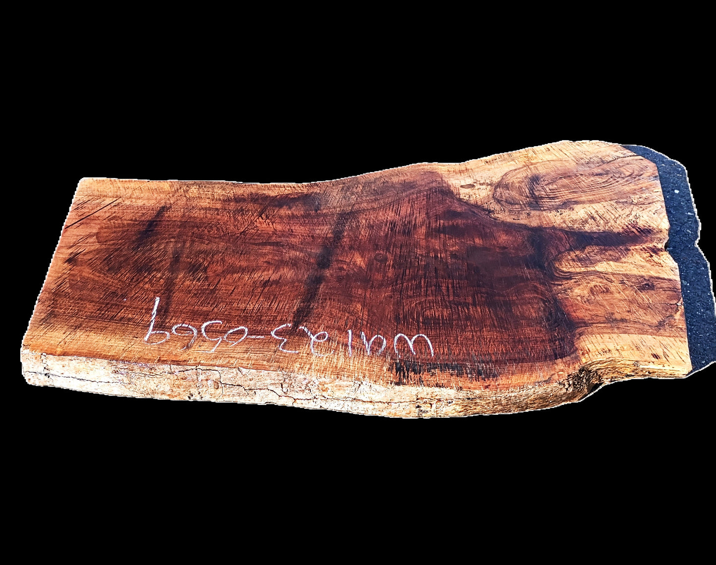 Grafted Walnut Burl | DIY | Craft Wood | River Table | Wal23-0569