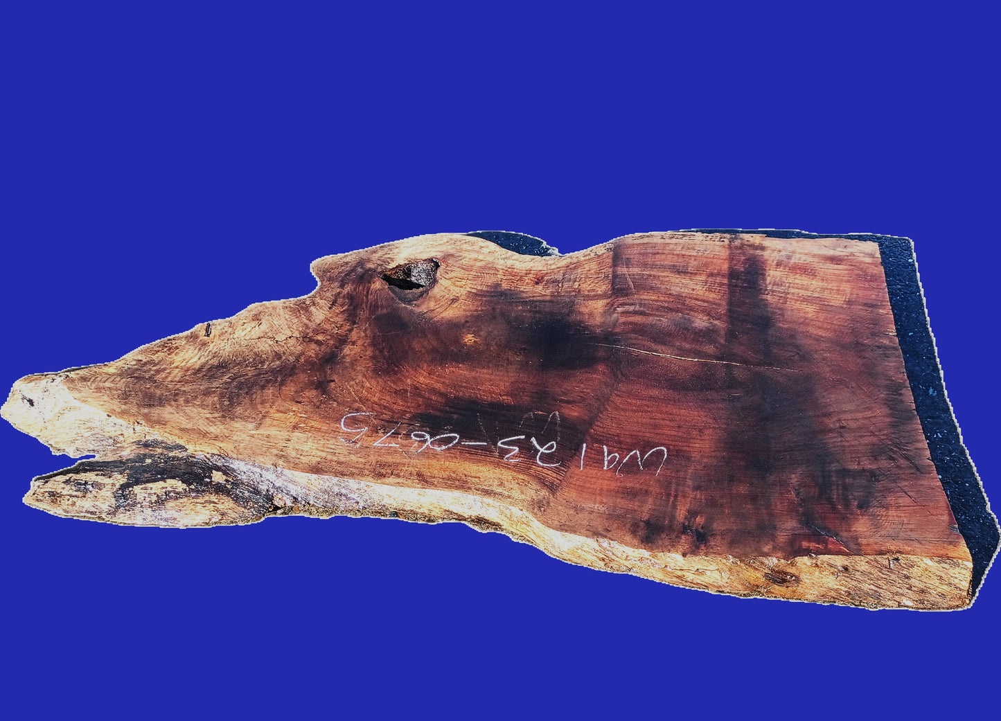 Black Walnut | DIY | Live Edge | River Table | Wal23-0675