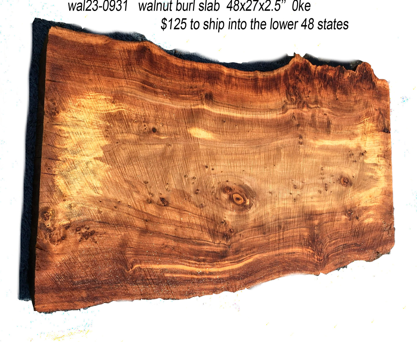 walnut burl | burl slab | desk | kitchen table | DIY wood | wal23-0931