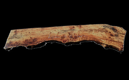 Walnut Slab |  Table | Counter | Live Edge Headboard | Wal23-0959