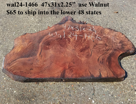 Walnut Slab |  DIY Crafts | Live Edge | Wal24-1466