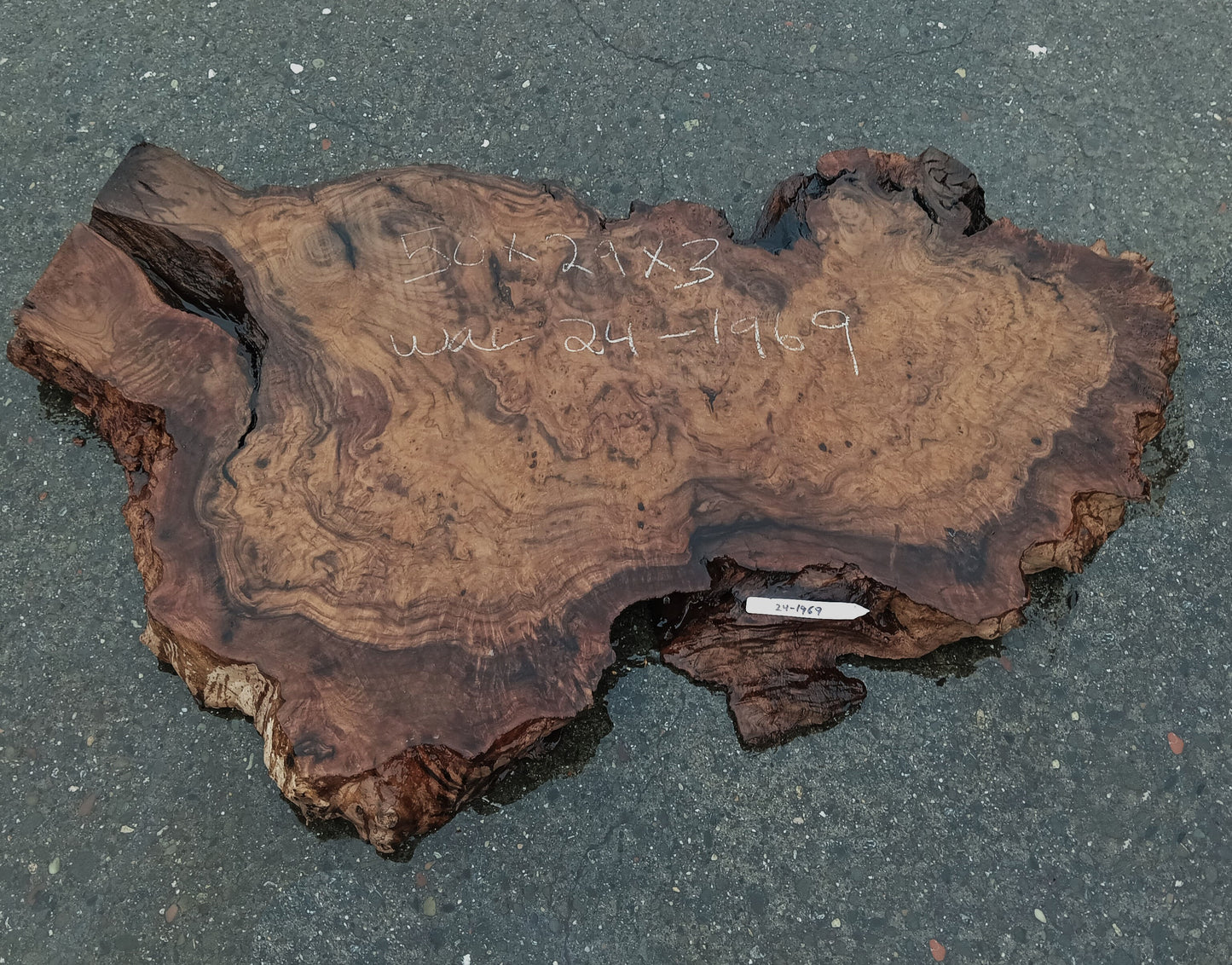 Walnut Burl Slab |  DIY Crafts | Desk | Live Edge | Wal24-1965