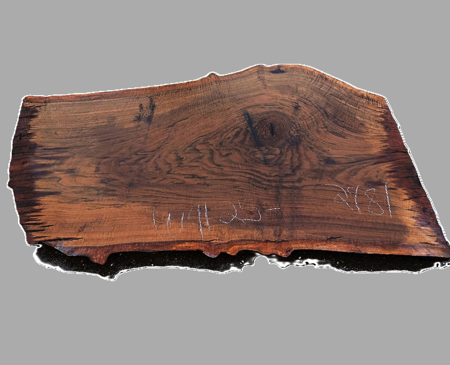 black walnut | Live Edge Slab | desk top | DIY | wal25-2981 (Copy)
