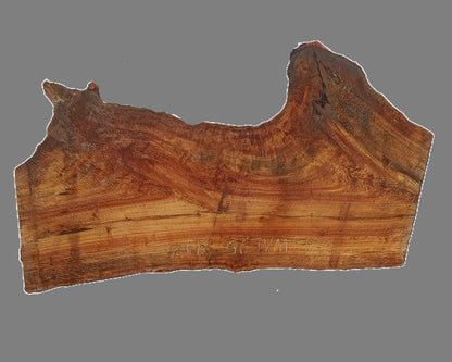 Black Walnut | DIY | Live Edge | River Table | Wal25-3102