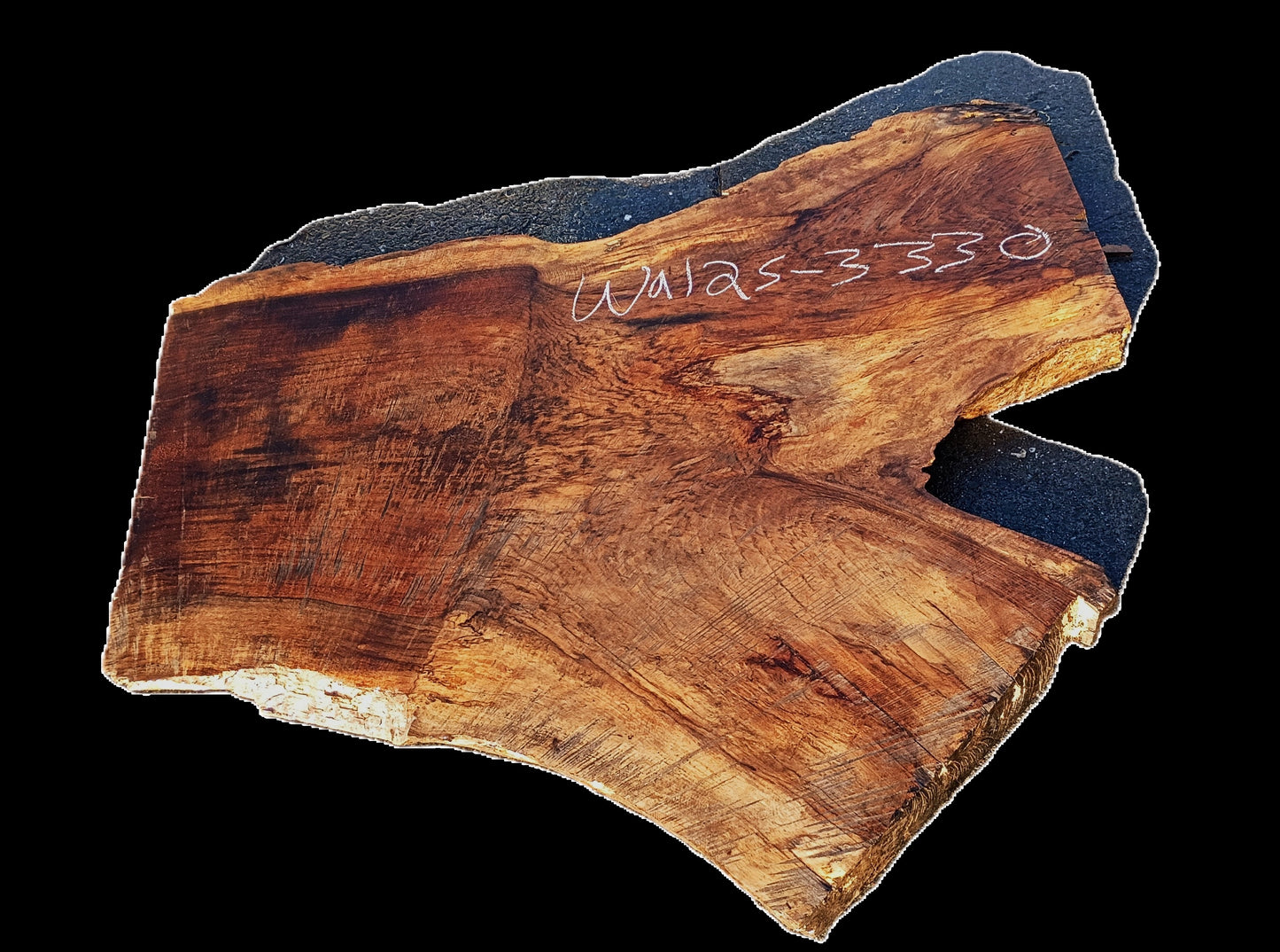 Curly Black Walnut with Graft | DIY | River Table | Wal25-3345