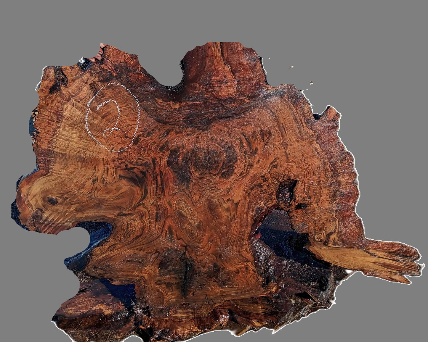Black Walnut | DIY | River Table | Live Edge | Wal26-0002