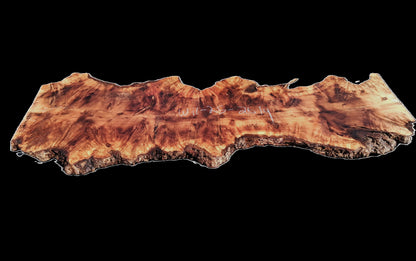 Willow Burl Slab | Burl | Table Slab | Epoxy Idea | WIL25-2614