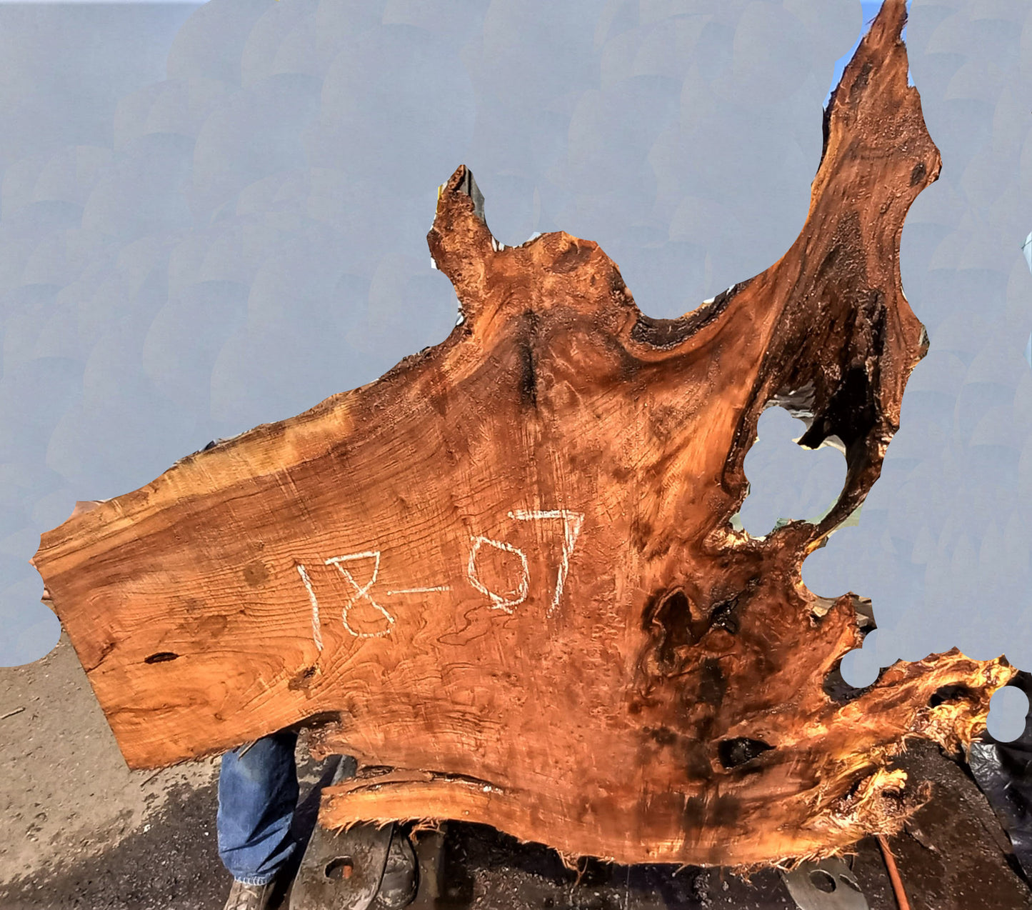 epoxy river table | live edge slab | redwood burl | DIY wood crafts | 18-07