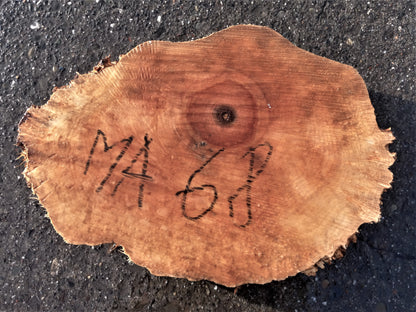 Maple burl s;lab | live edge slab | DIY wood crafts | ma-68