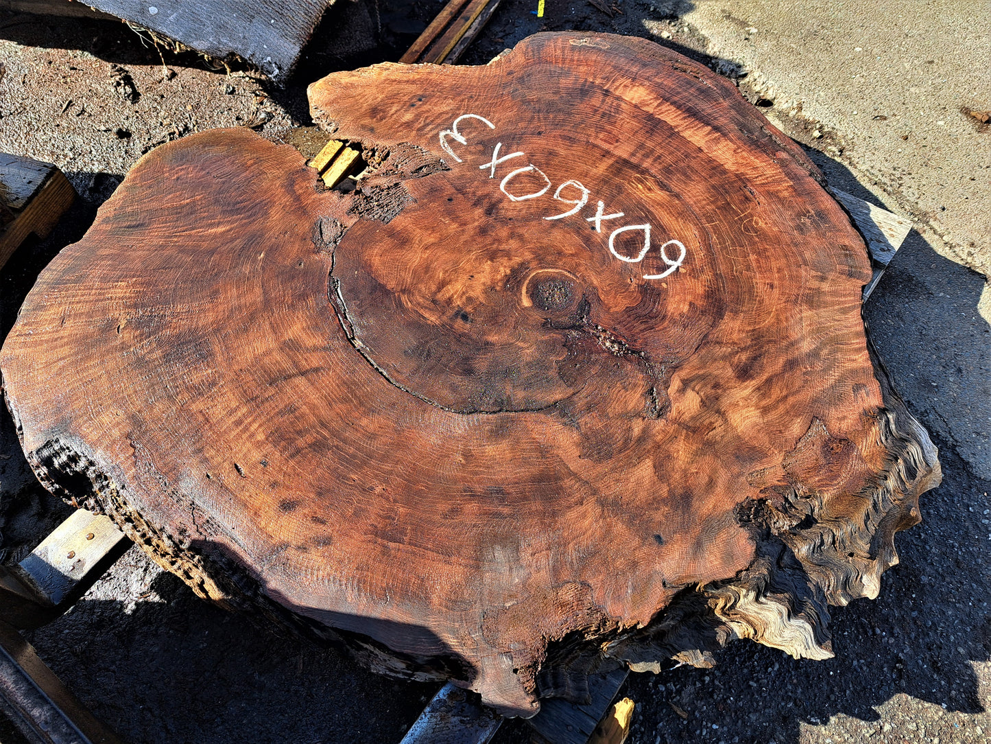 redwood bunion | burl slab | live edge slab | kitchen table | Bunionslab