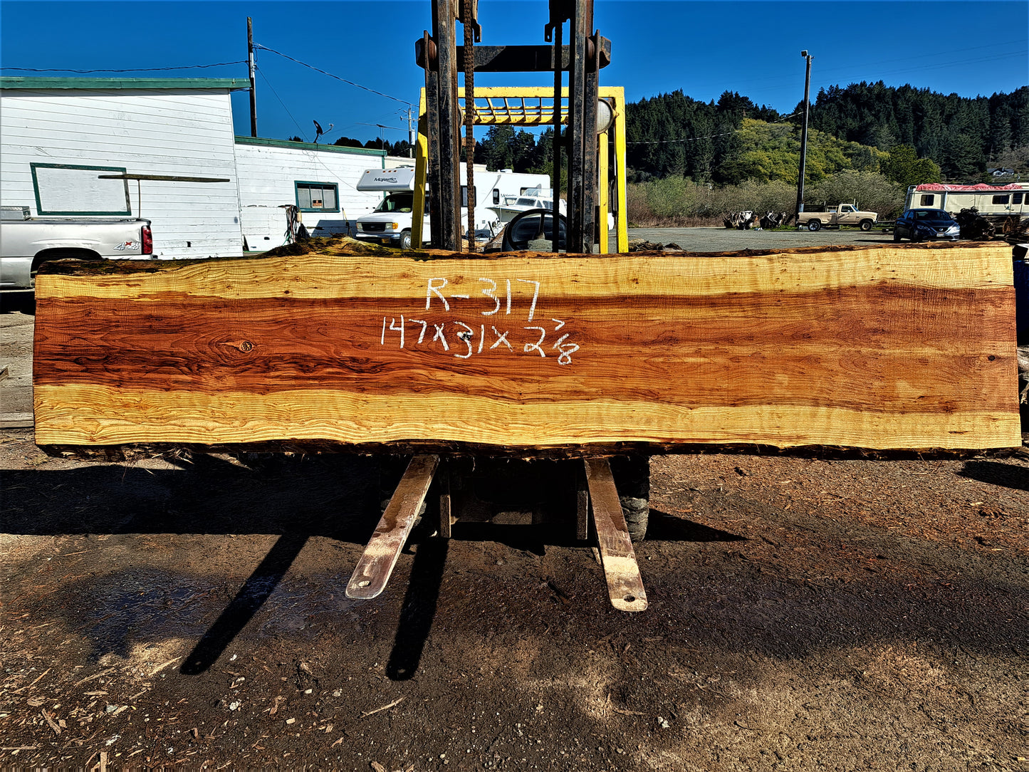 Live edge table slab | redwood log slab | curly with burl | r-317