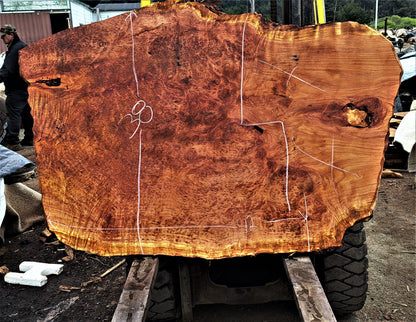 Redwood lace burl | burl table | DIY wood crafts | dining table | r-450