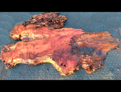 Live edge slab | redwood burl | river table | craft woods 21-0030bs