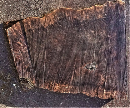 Redwood Slab | Wood | DIY | Craft | 22-0082