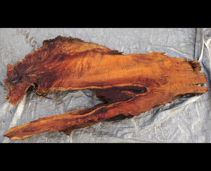 Live edge redwood | burl slab | river table | DIY craft wood | 21-0283-BS