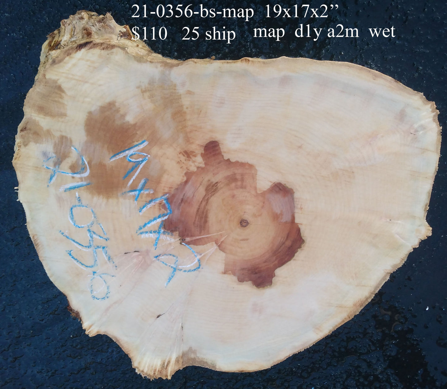 Maple slab | live edge | Cookie cut | DIY craft wood | 21-0356-BS