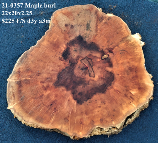 Maple burl | cookie cut | live edge | DIY craft wood | 21-0357-BS