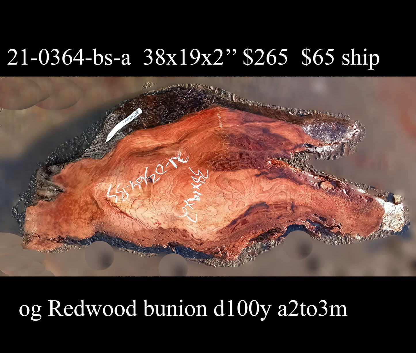 old growth redwood | bunion burl | live edge | DIY craft wood | 21-0364-BS