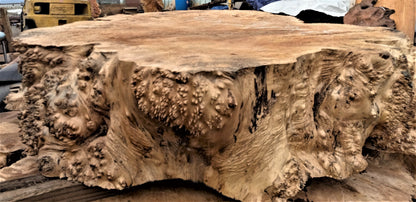 maple burl | live edge | DIY craft wood | turning blank | 21-0080-BS