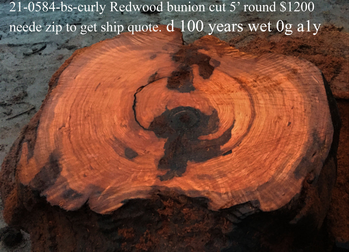 curly redwood bunion | live edge | DIY craft wood | old growth | 21-0584-BS