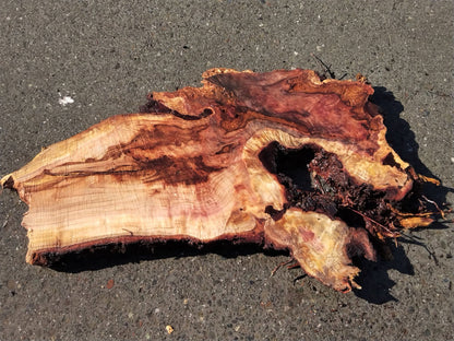 Redwood burl | live edge slab | DIY craft wood | river table | 21-0629-BS