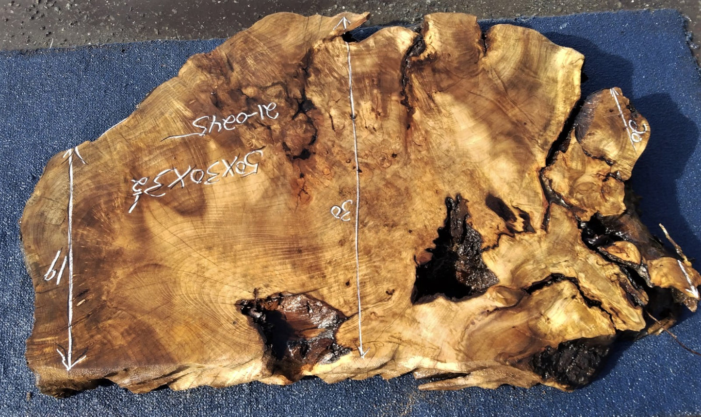 Spalted Myrtle | Live edge burl | DIY craft wood | 21-0245-BS-Myrtle