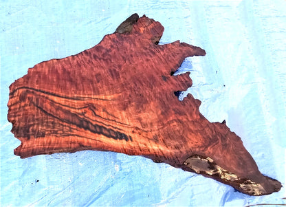 live edge | redwood burl | DIY craft wood | river table | 22-0337-BS
