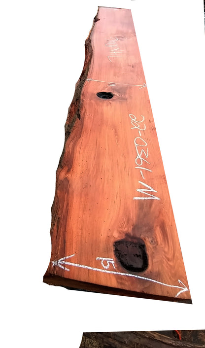 old growth | redwood burl | mantel | DIY craft wood | live edge | 22-0361-MT