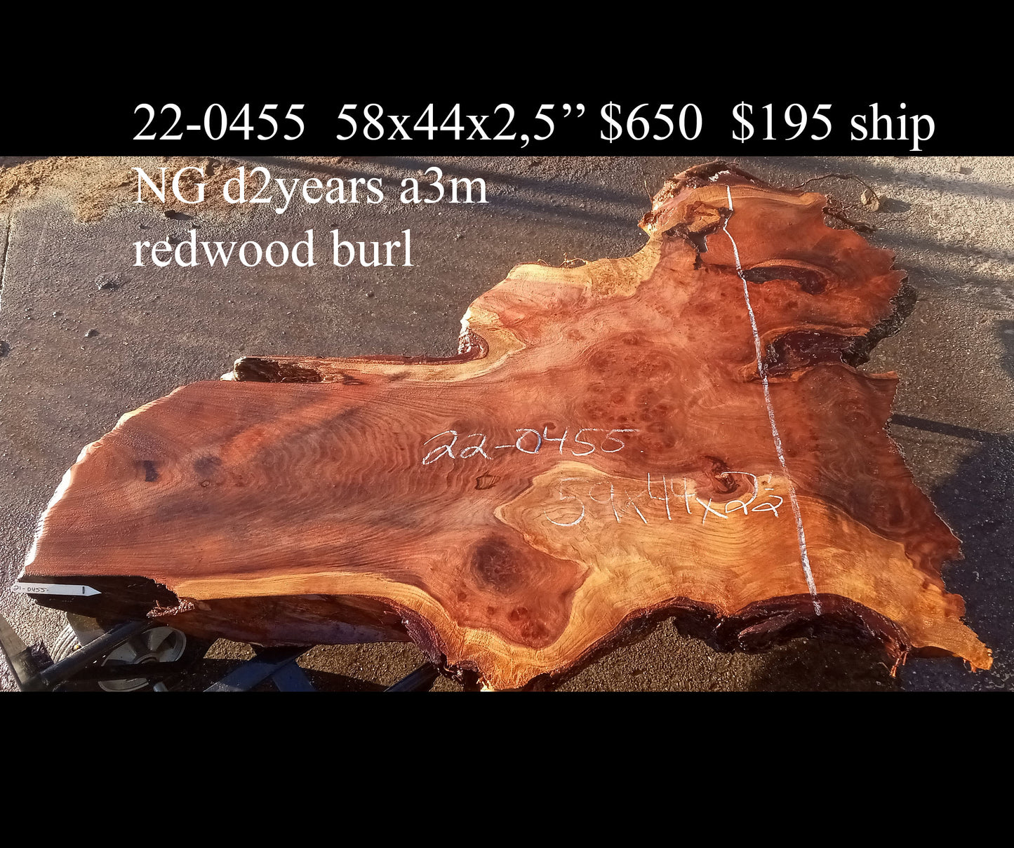 Redwood | Burl | Slab | DIY | Crafts | 22-0455