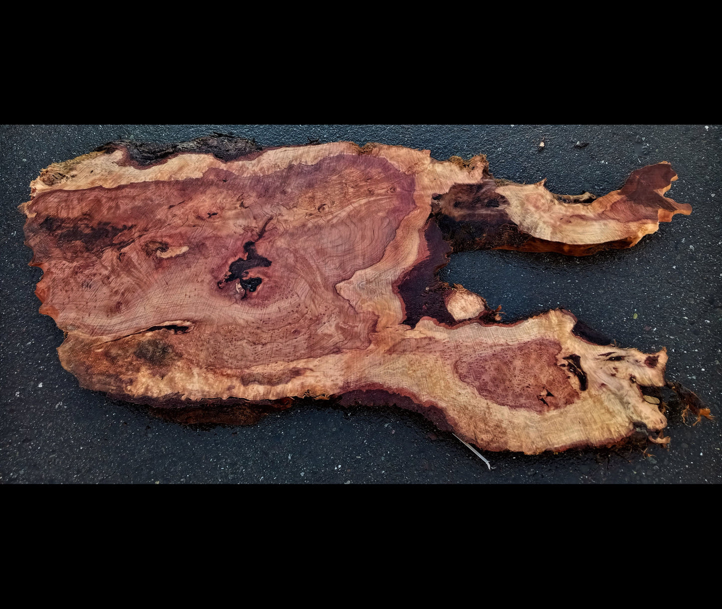 redwood burl | live edge | river table | DIY craft wood | 22-0560-BS
