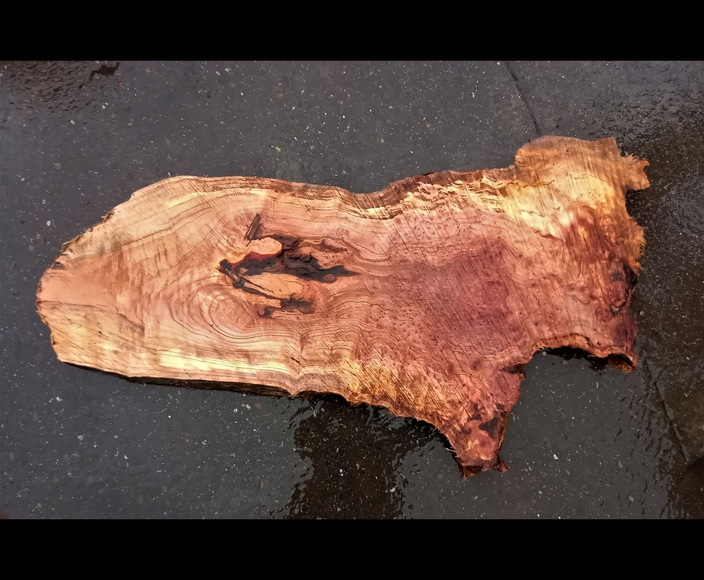 live edge | redwood burl | river table | DIY craft wood | 22-0572-BS