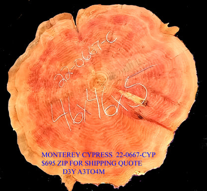Monterey Cypress | live edge slab | cookie cut | DIY | Crafts | 22-0667