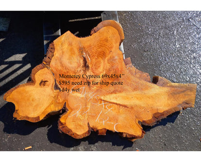 Monterey Cypress | Cookie Cut | DIY | Crafts | rustic furniture , 22-12-cyp