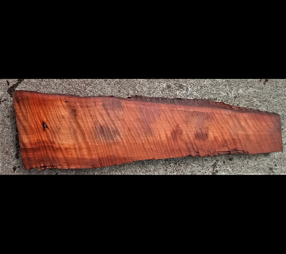 Curly redwood | guitar billet | DIY wood crafts | 22-322