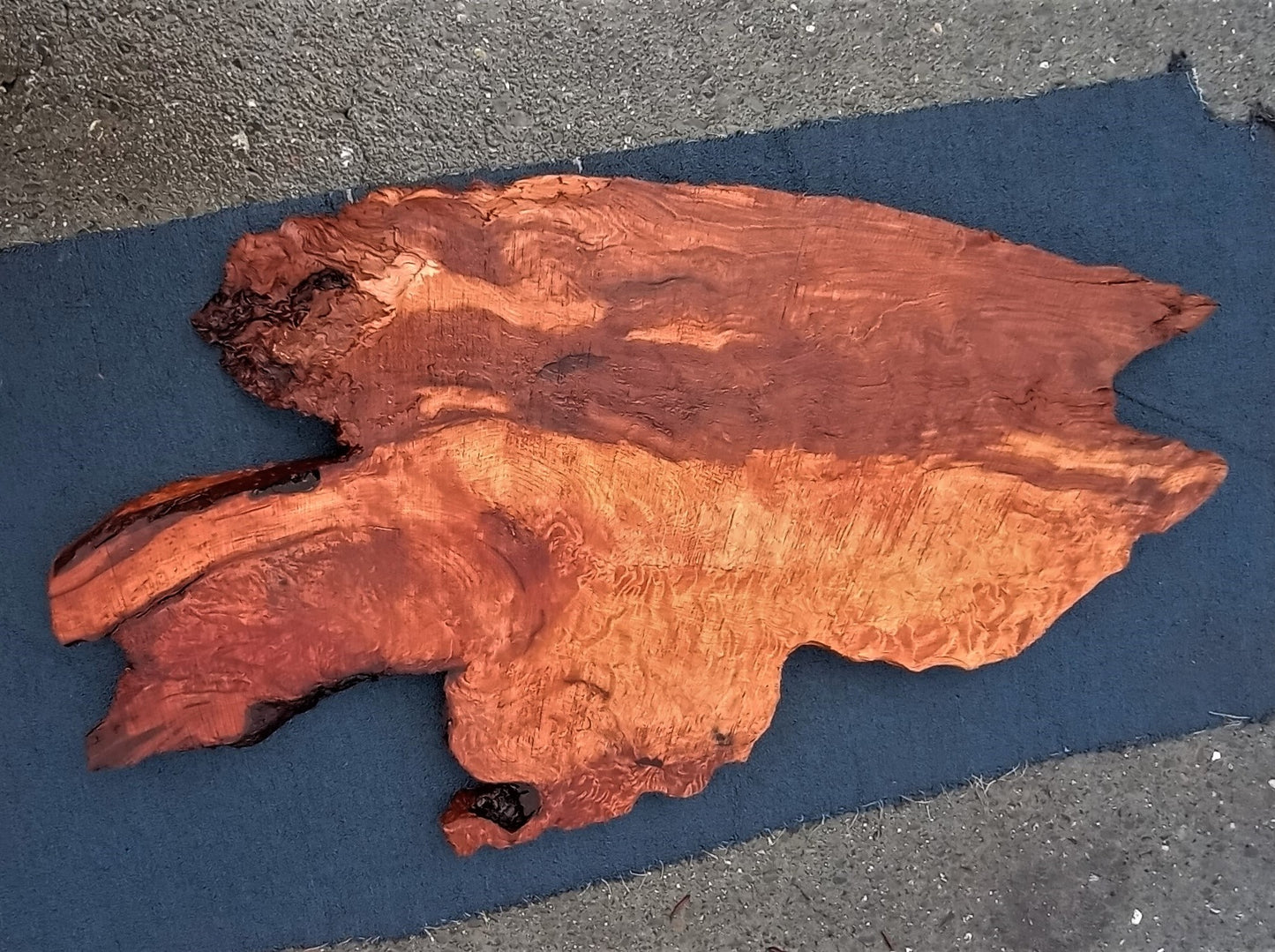 curly redwood | Live edge slab | burl table | river table | DIY crafts | 22-372