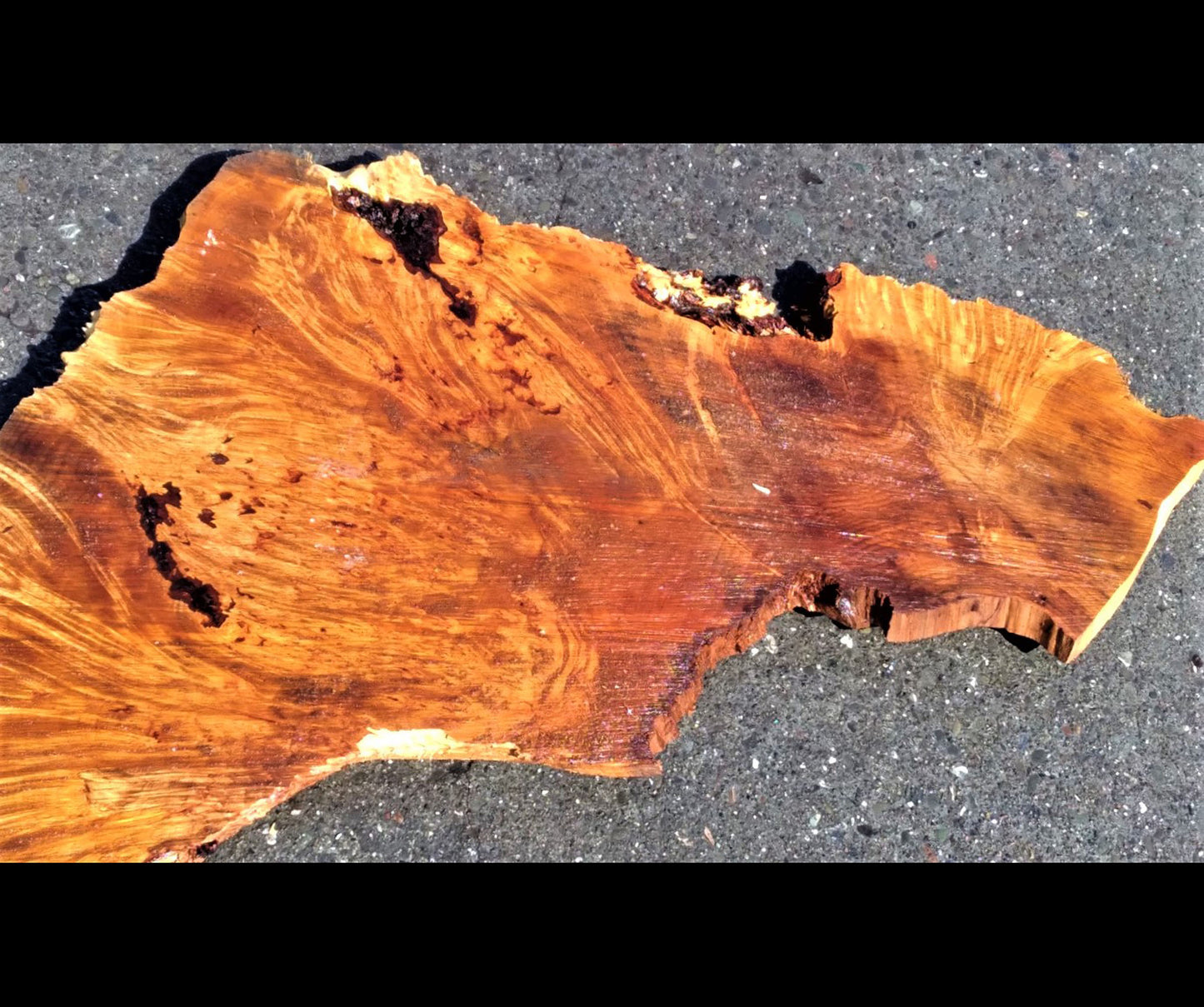 Maple burl | DIY wood | river table | craft wood | Knife handles | 22-435