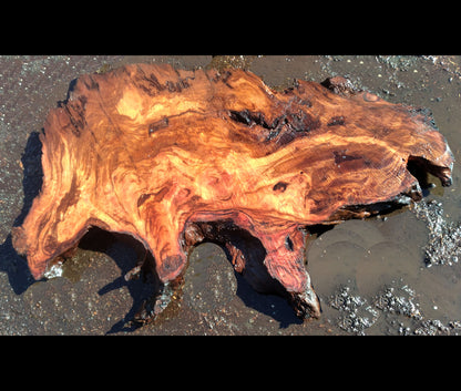 live edge slab | redwood burl | River table | DIY crafts | 22-534