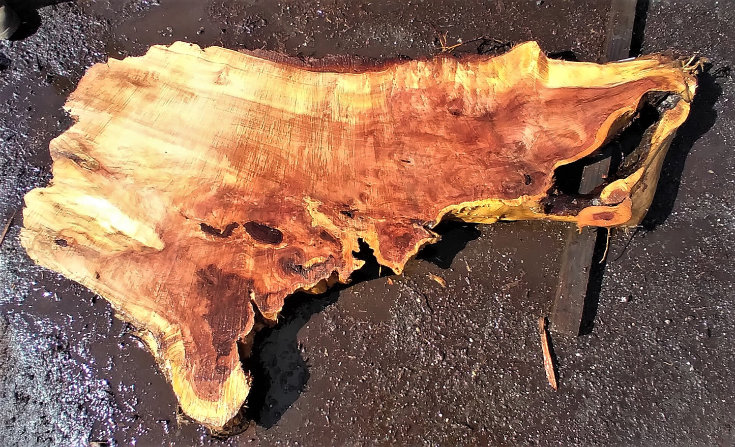 Live edge slab | river table | redwood | DIY crafts | 22-539