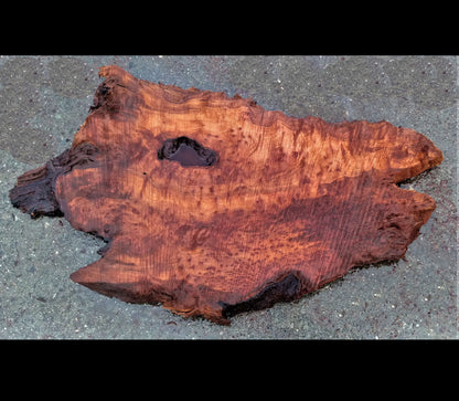 redwood burl | live edgs slab | DIT crafts | river table | 22-586