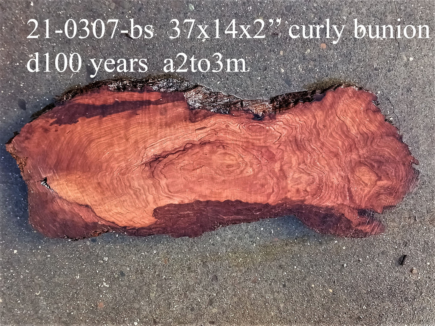 Curly bunion | Old growth redwood | live edge | DIY craft wood | 21-0307-BS