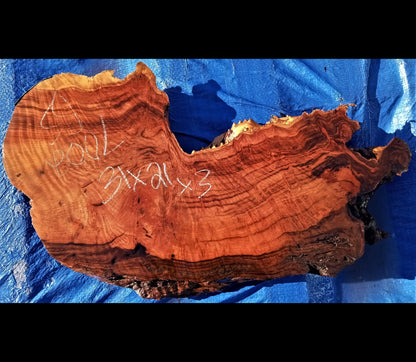 redwood burl | live edge | river table | DIY craft wood | BS7002