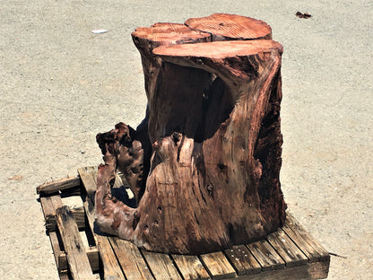 redwood root base | rustic |  live edge base | DIY crafts | rb-98