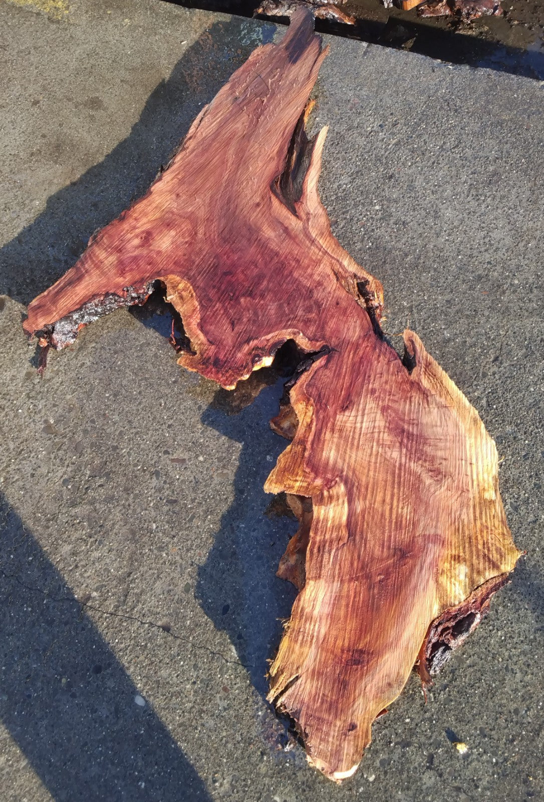 Live edge | redwood burl | river table | DIY craft wood | 21-0114-BS