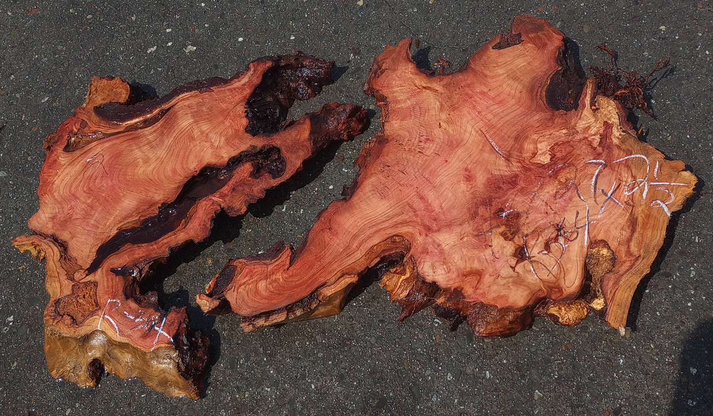 epoxy river table | redwood burl | Wall sculpture | DIY wood crafts | R-34